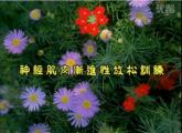 情緒壓力管理